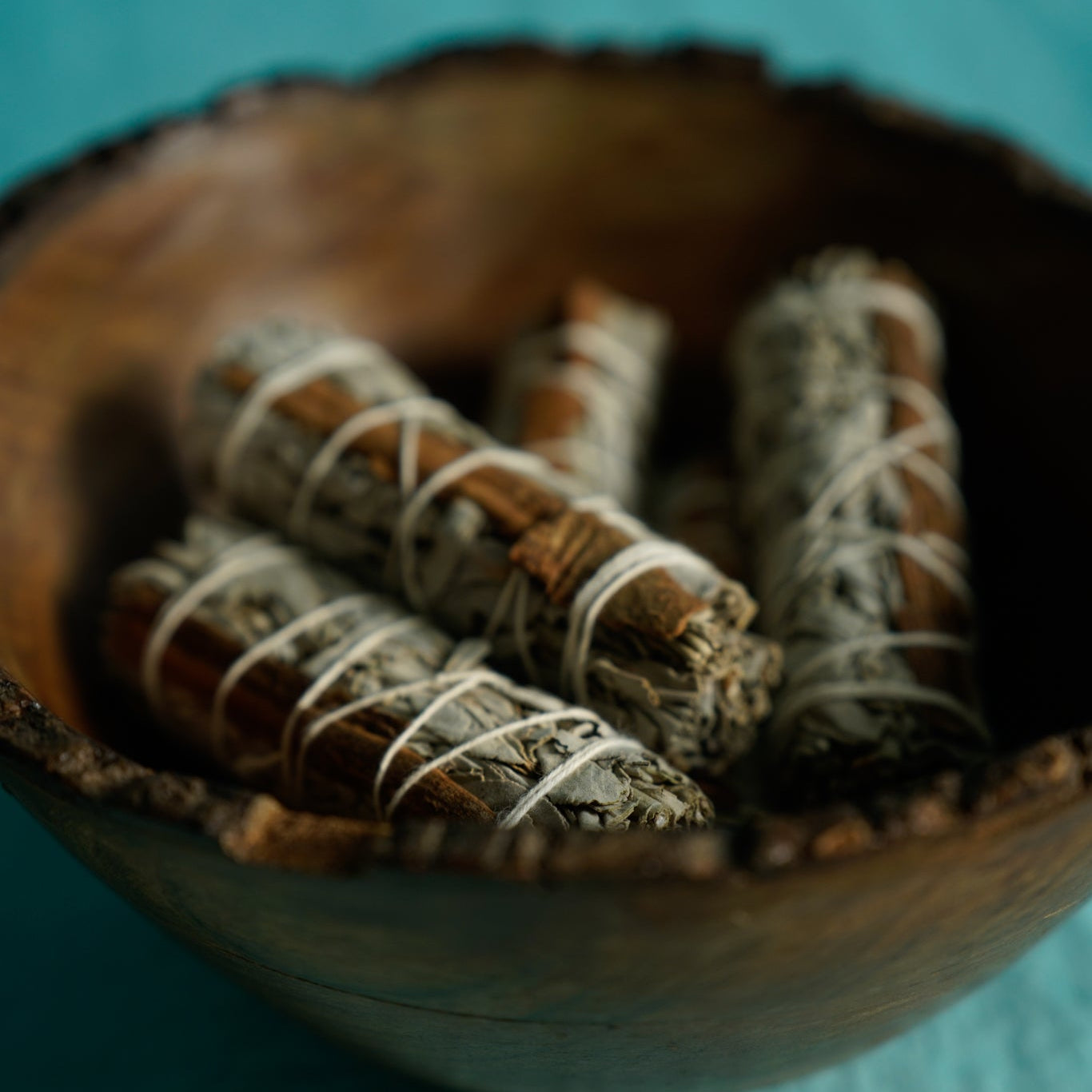 LIMITED EDITION: CANELA