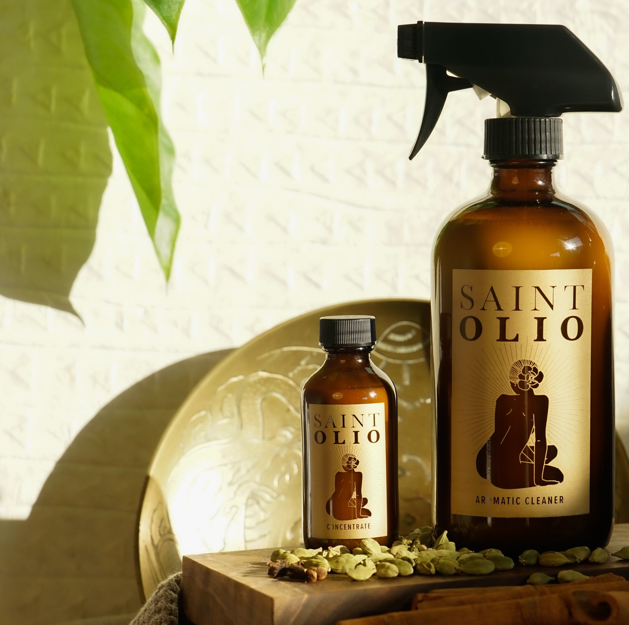 LIMITED EDITION: CANELA