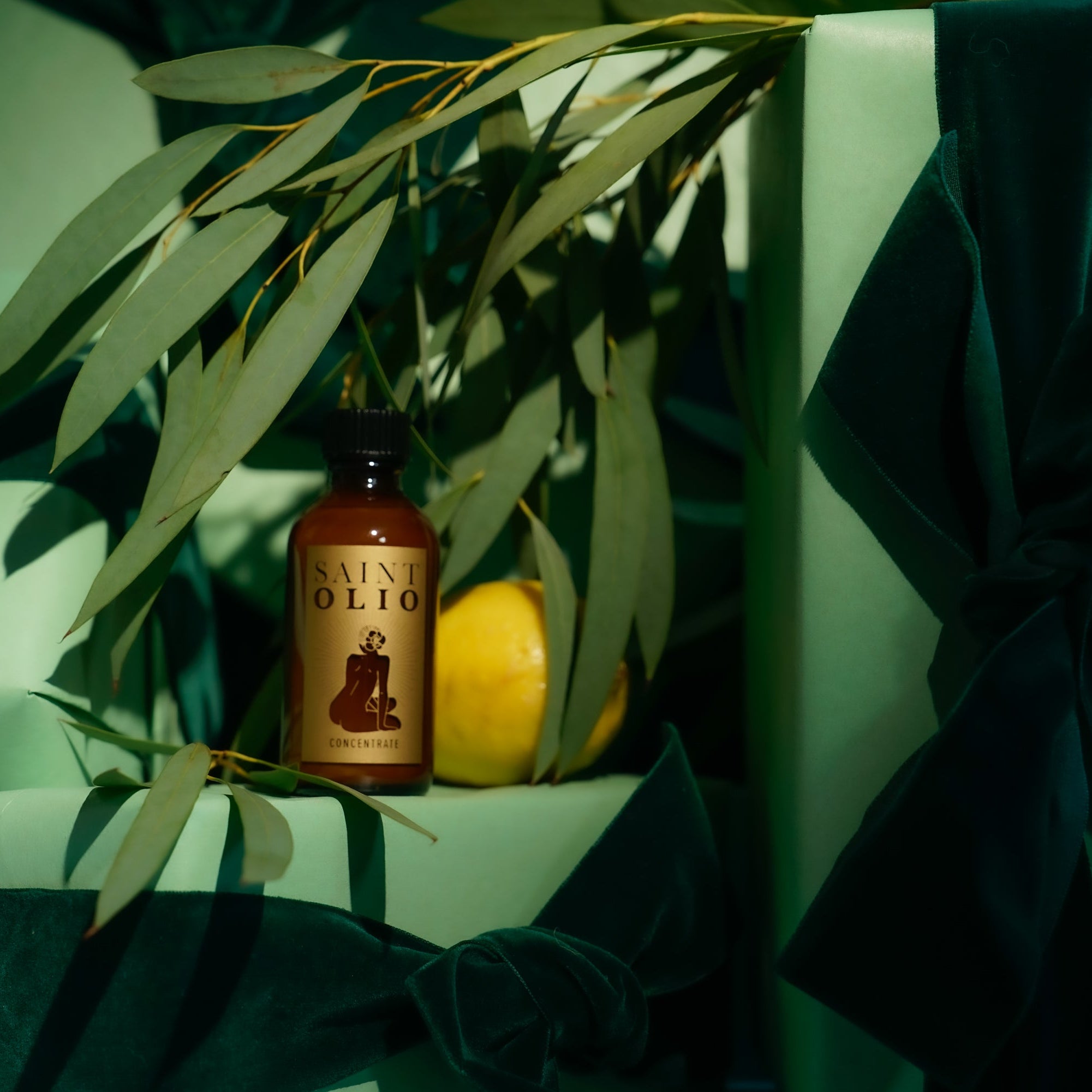 LIMITED EDITION: PONDERAY